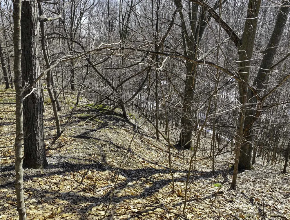S Bay Bluffs Drive Cleveland Township, MI 49621