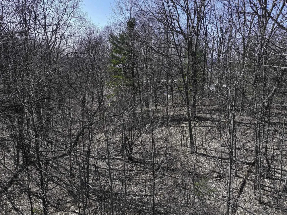 S Bay Bluffs Drive Cleveland Township, MI 49621