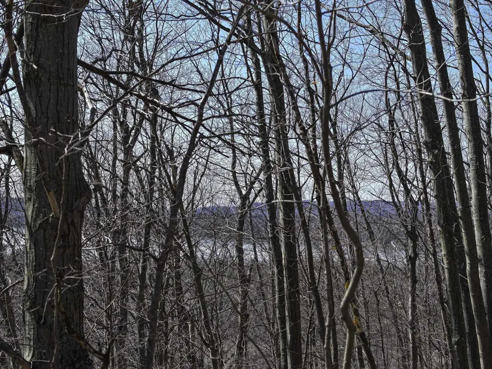 S Bay Bluffs Drive Cleveland Township, MI 49621