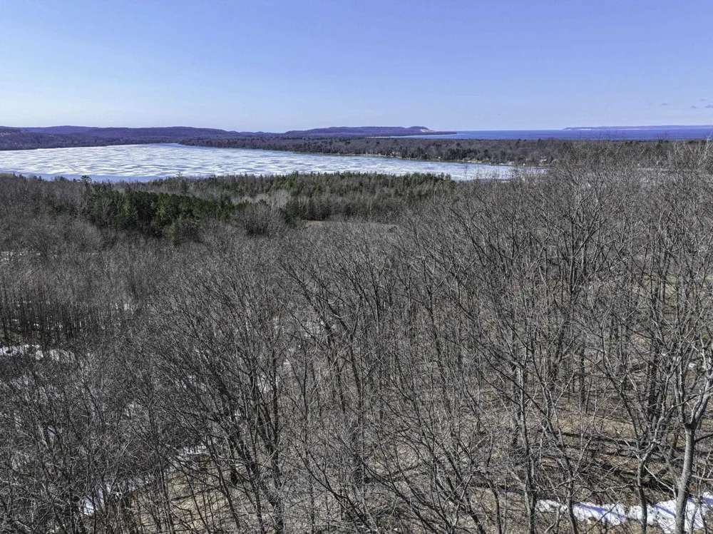S Bay Bluffs Drive Cleveland Township, MI 49621