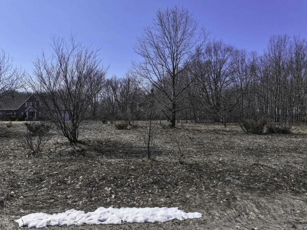 S Bay Bluffs Drive Cleveland Township, MI 49621