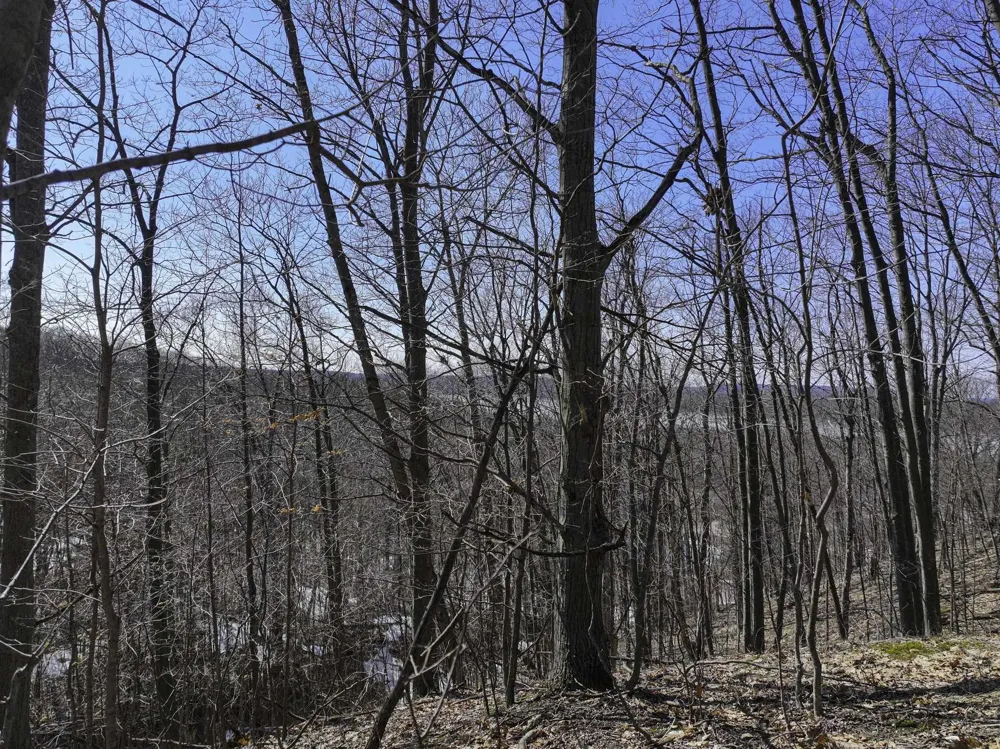 S Bay Bluffs Drive Cleveland Township, MI 49621