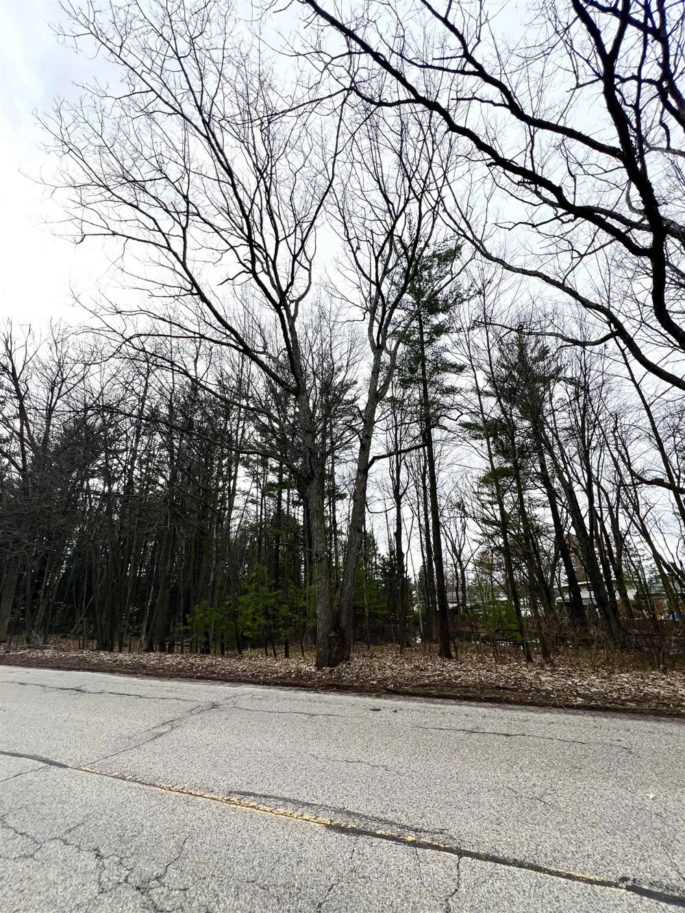 North Boulevard Cadillac City, MI 49601