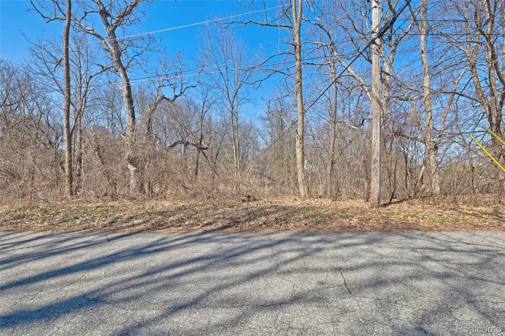 Tambora Street Commerce Charter Township, MI 48382