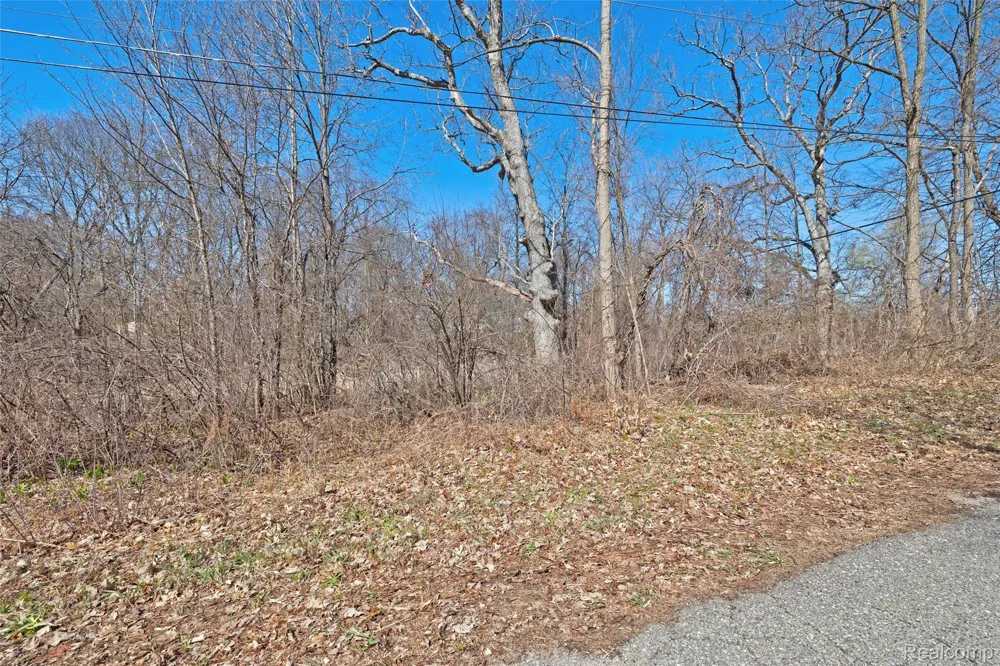Tambora Street Commerce Charter Township, MI 48382