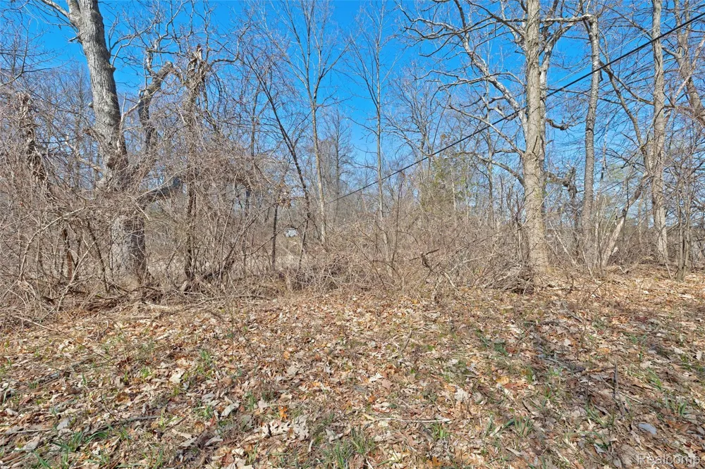 Tambora Street Commerce Charter Township, MI 48382