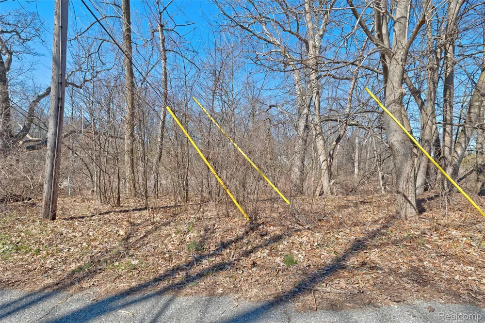 Tambora Street Commerce Charter Township, MI 48382