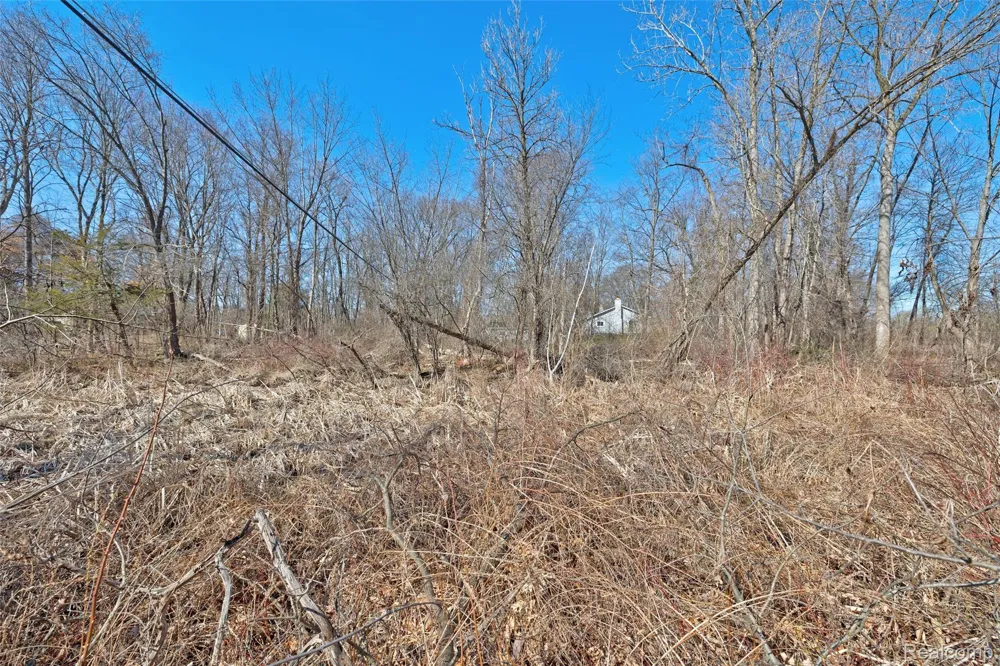 Tambora Street Commerce Charter Township, MI 48382