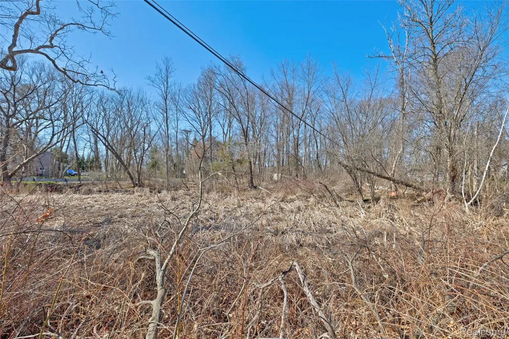 Tambora Street Commerce Charter Township, MI 48382