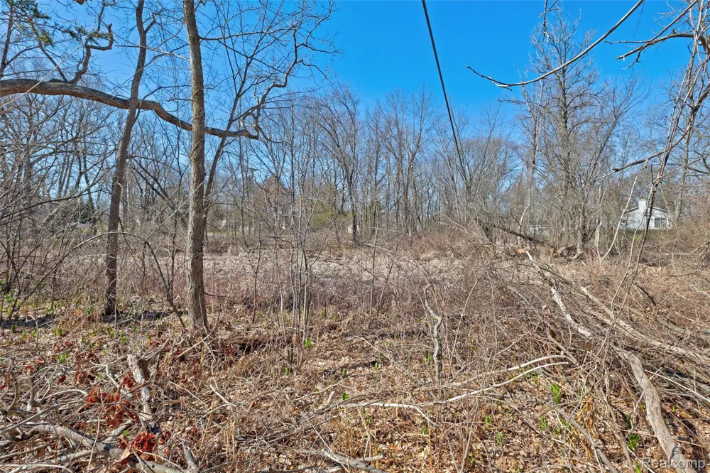 Tambora Street Commerce Charter Township, MI 48382