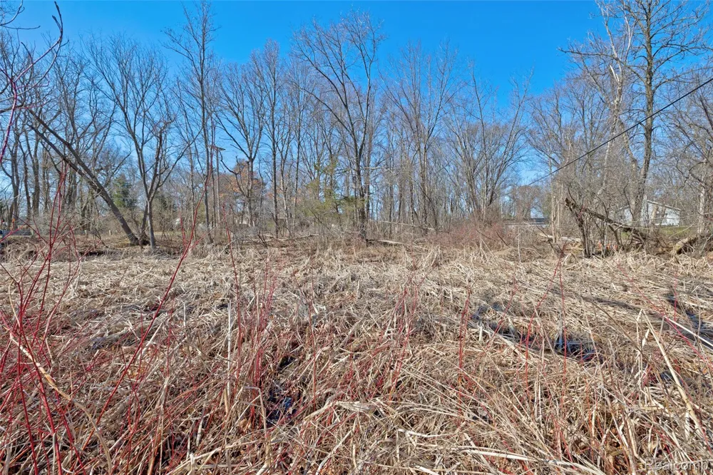 Tambora Street Commerce Charter Township, MI 48382