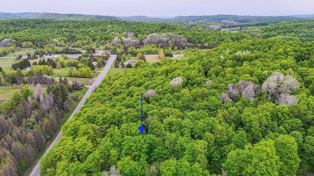 S Coleman Road Kasson Township, MI 49664