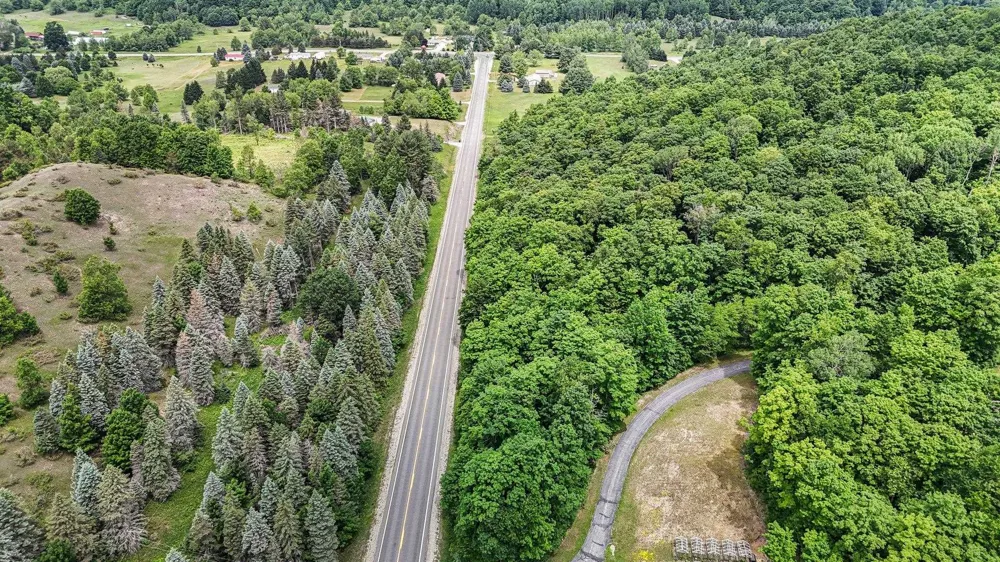 S Coleman Road Kasson Township, MI 49664
