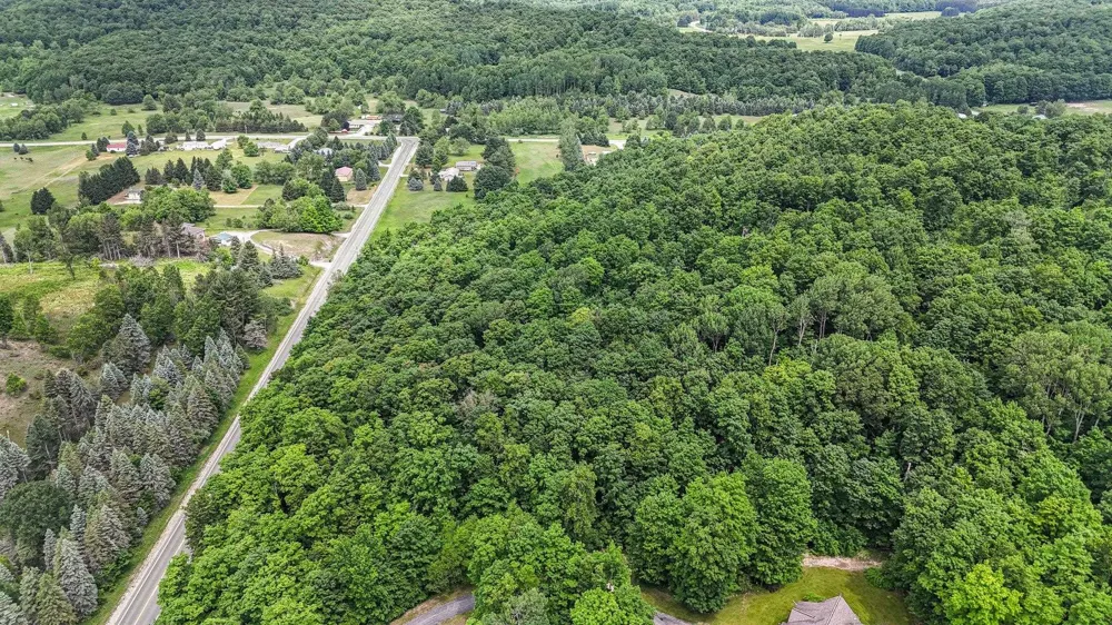 S Coleman Road Kasson Township, MI 49664