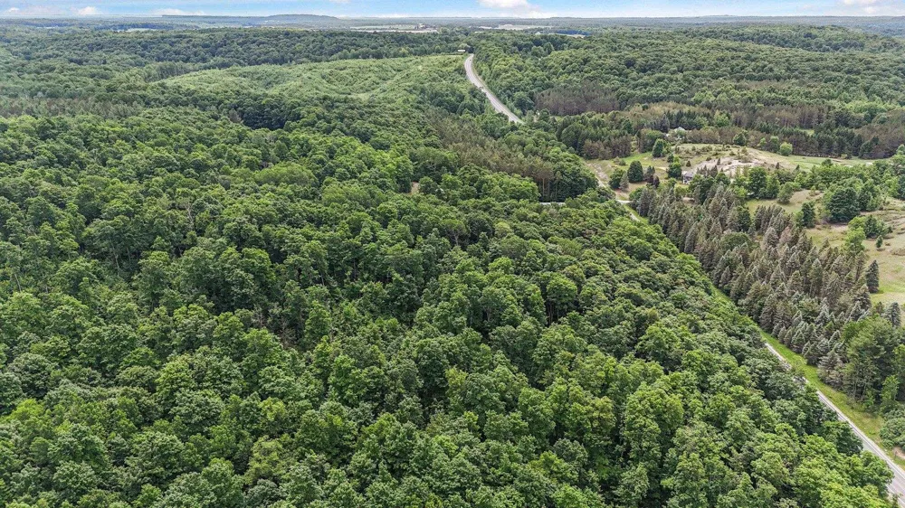 S Coleman Road Kasson Township, MI 49664