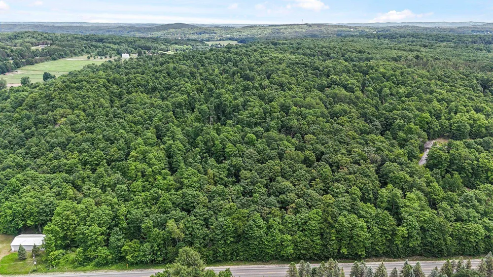 S Coleman Road Kasson Township, MI 49664