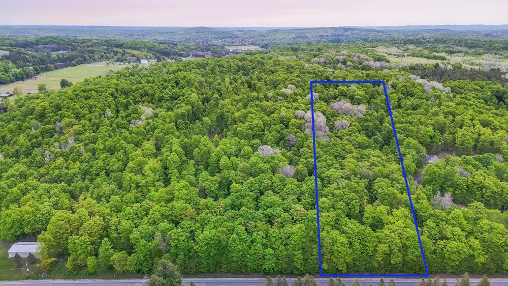 S Coleman Road Kasson Township, MI 49664