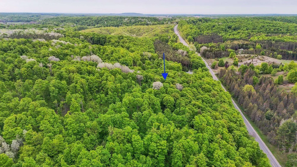 S Coleman Road Kasson Township, MI 49664