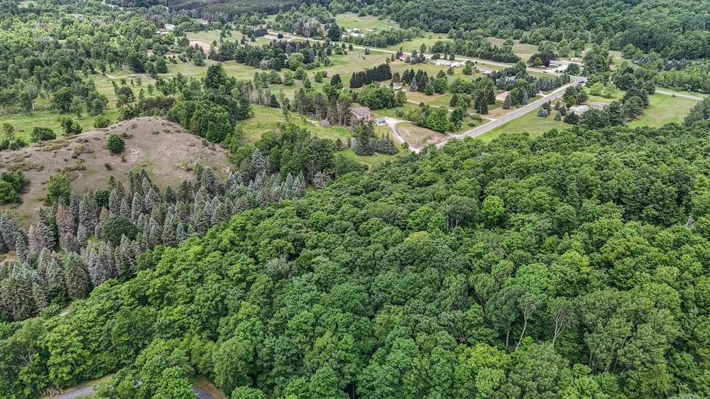 S Coleman Road Kasson Township, MI 49664