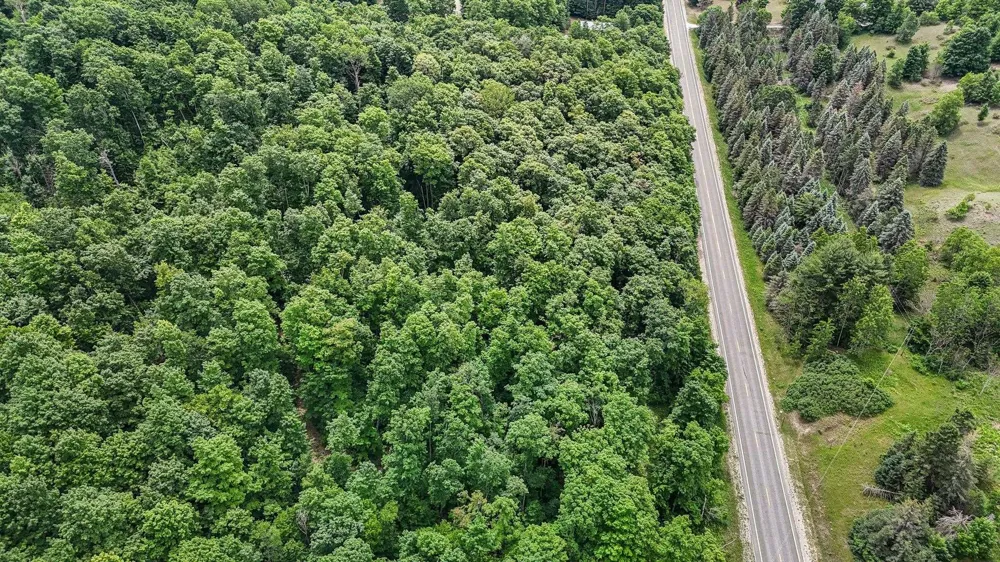 S Coleman Road Kasson Township, MI 49664