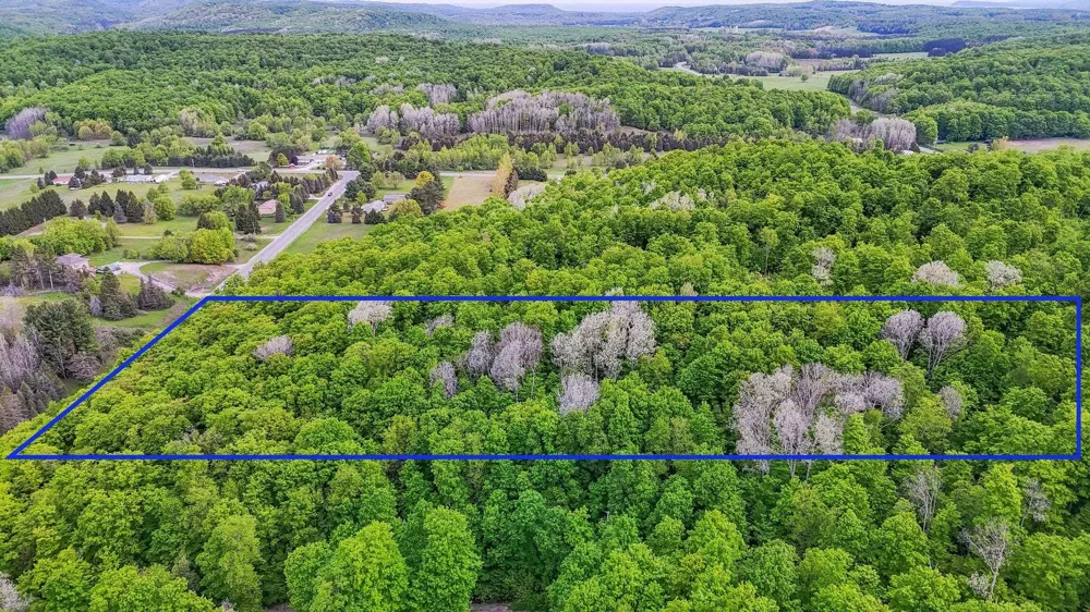 S Coleman Road Kasson Township, MI 49664