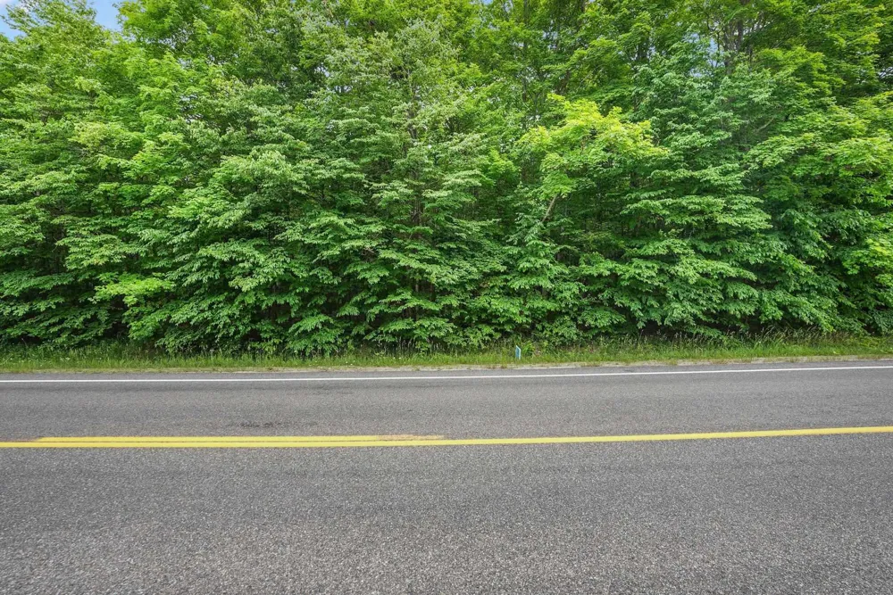 S Coleman Road Kasson Township, MI 49664