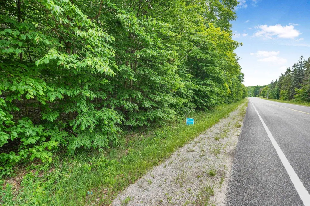 S Coleman Road Kasson Township, MI 49664