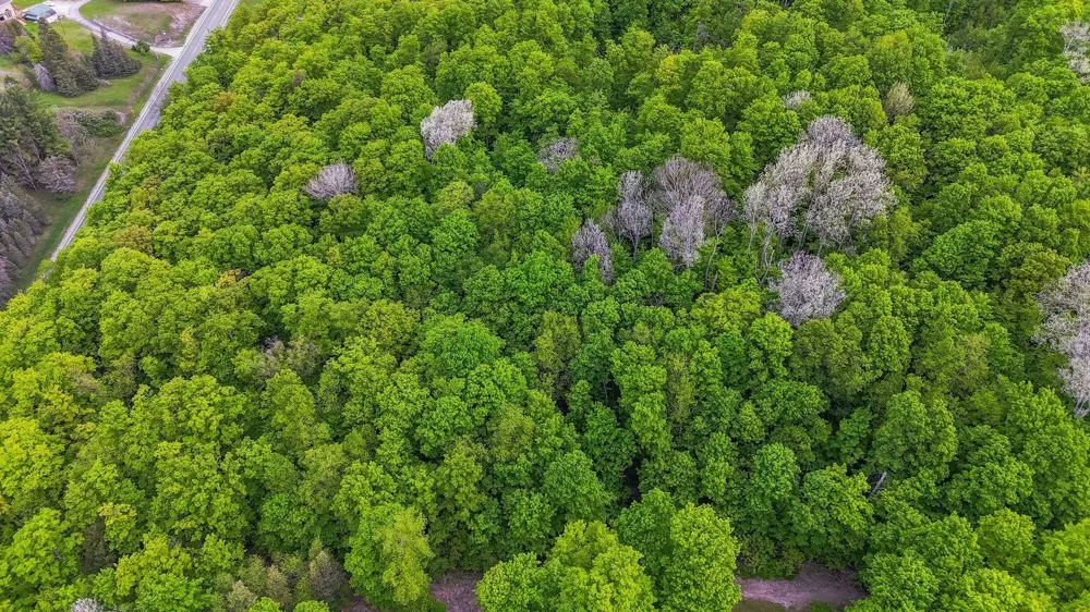 S Coleman Road Kasson Township, MI 49664