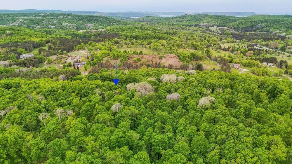 S Coleman Road Kasson Township, MI 49664