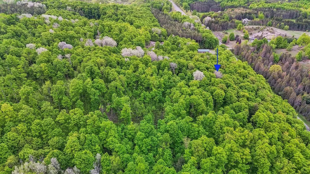 S Coleman Road Kasson Township, MI 49664