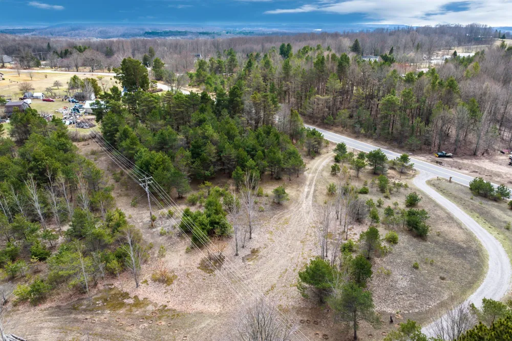 Case Road Benzonia Township, MI 46917