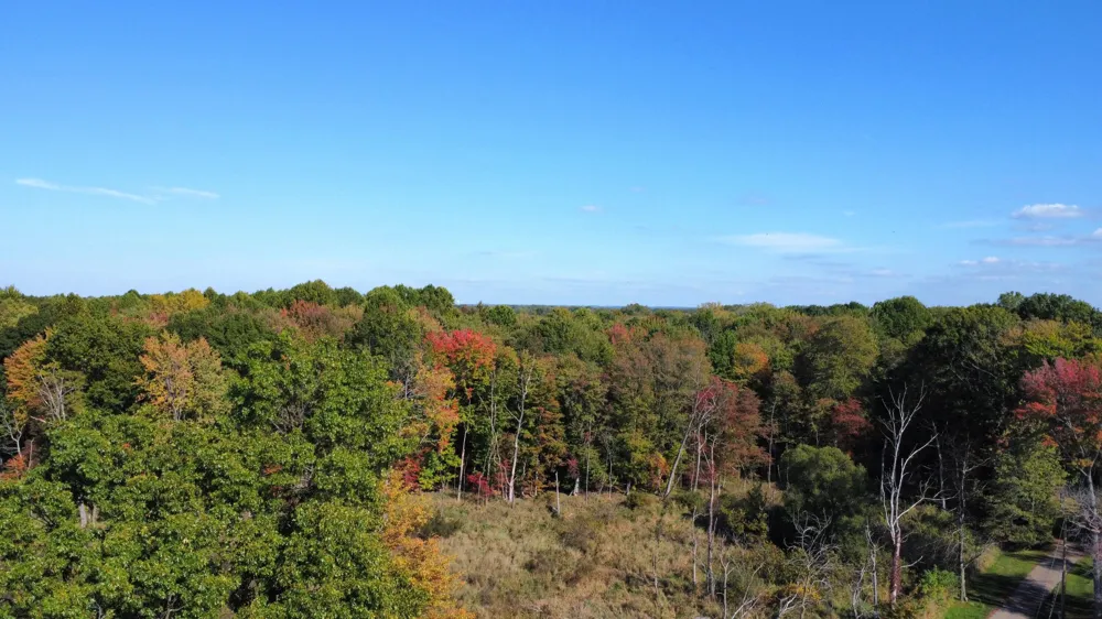 59388 41st Street Paw Paw Township, MI 49079