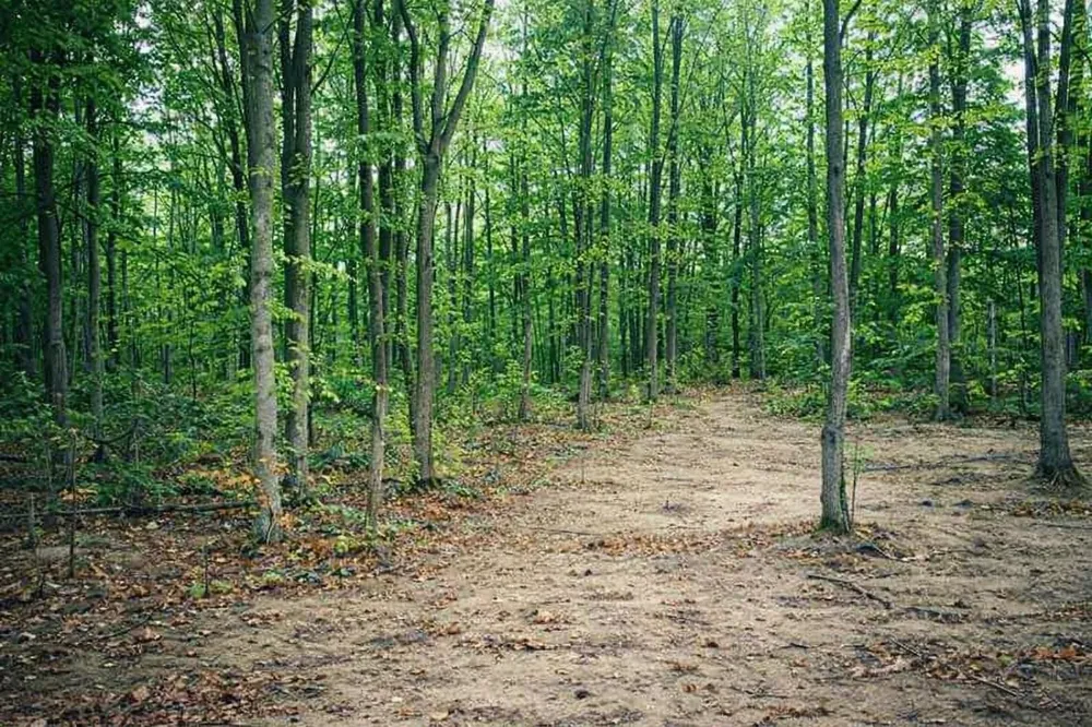 8904 Cedar Creek Drive Springvale Township, MI 49770