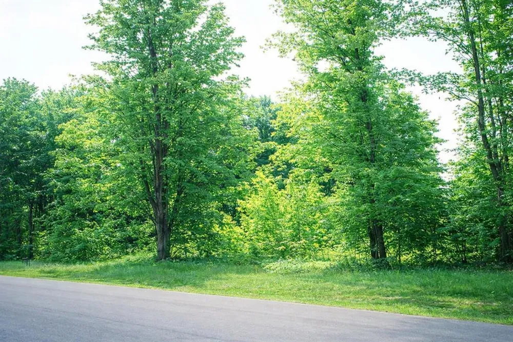 8904 Cedar Creek Drive Springvale Township, MI 49770