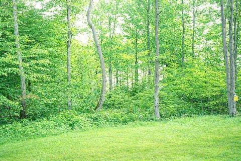 8922 Cedar Creek Drive