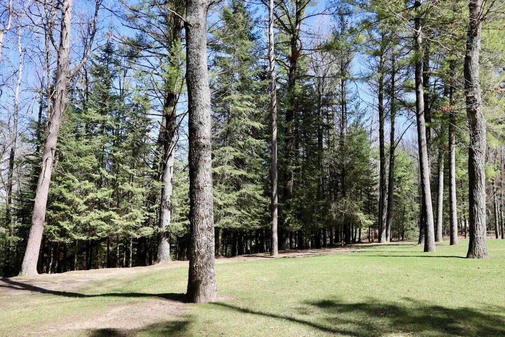1697 Wildwood Road Clayton Township, MI 48659