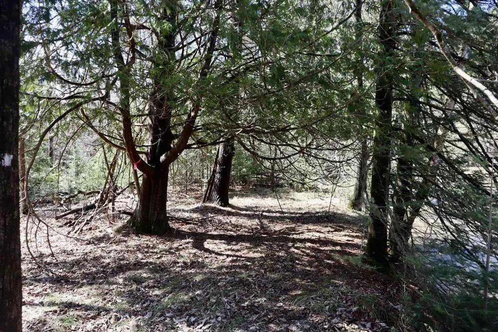 1697 Wildwood Road Clayton Township, MI 48659