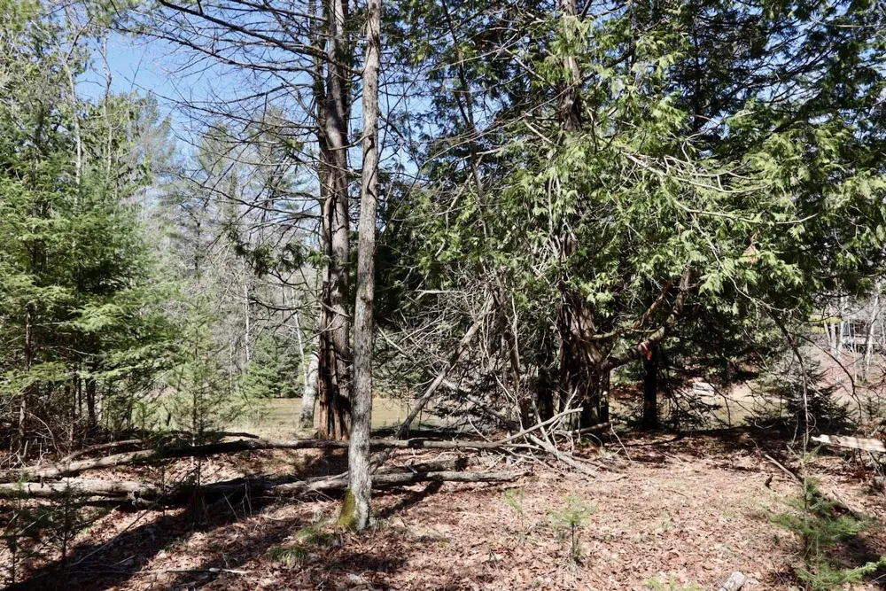 1697 Wildwood Road Clayton Township, MI 48659