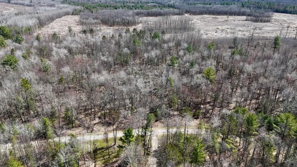 1697 Wildwood Road Clayton Township, MI 48659