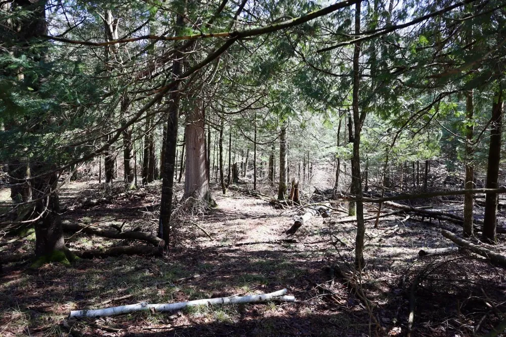 1697 Wildwood Road Clayton Township, MI 48659