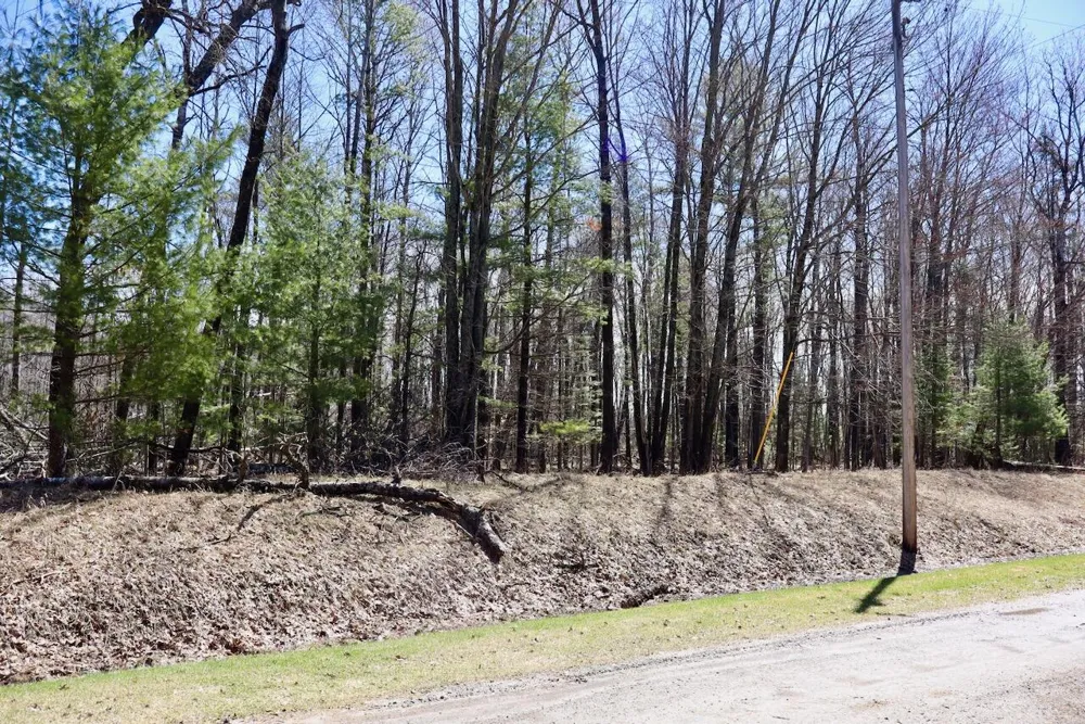1697 Wildwood Road Clayton Township, MI 48659