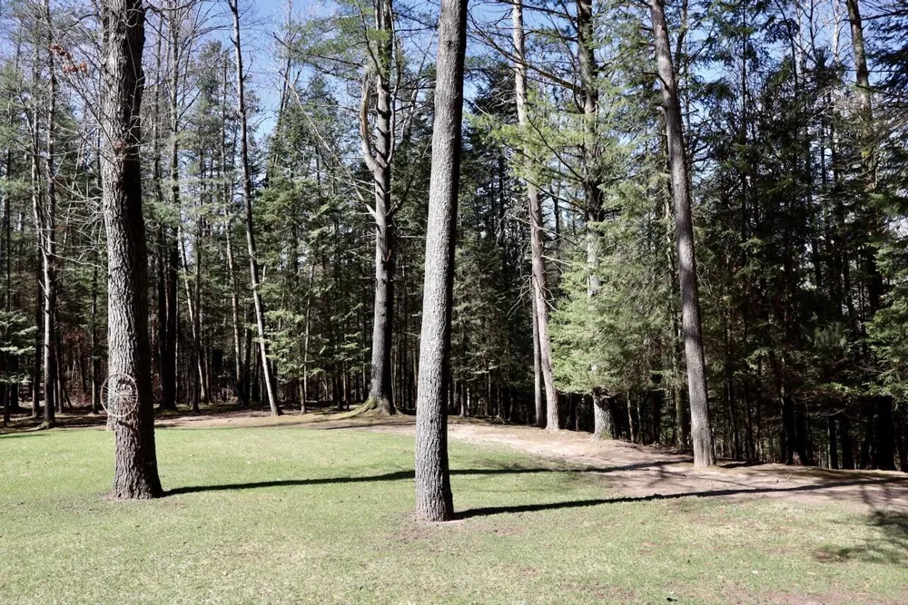 1697 Wildwood Road Clayton Township, MI 48659
