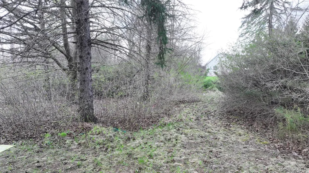 Brookview Drive Grand Blanc Charter Township, MI 48439