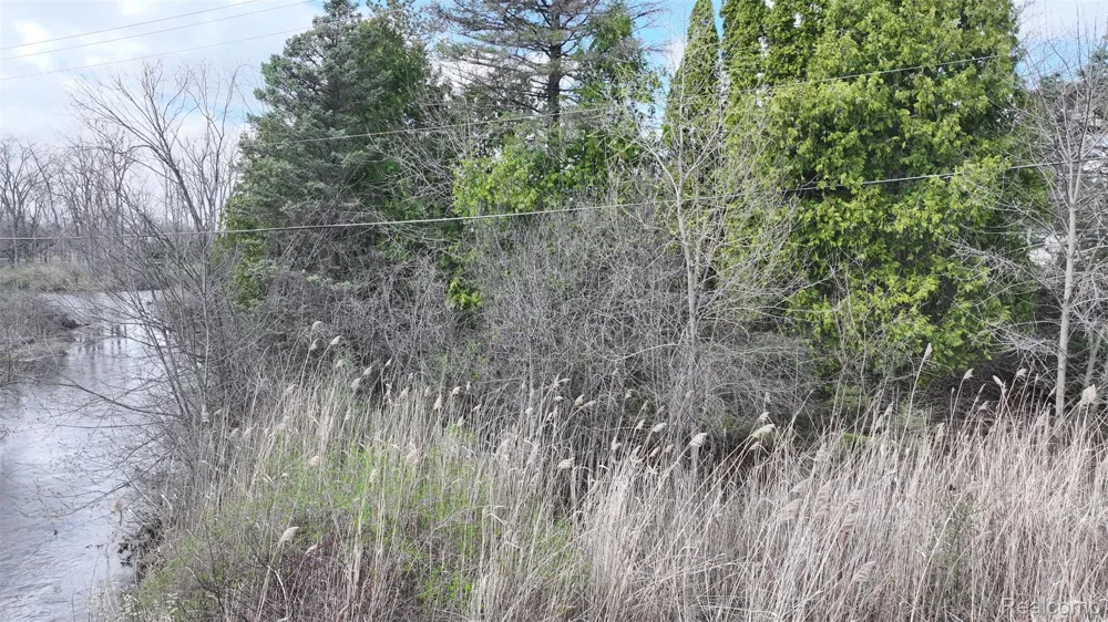Brookview Drive Grand Blanc Charter Township, MI 48439