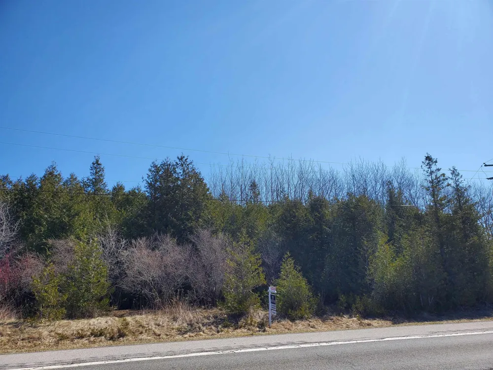 S Lakeshore Road Sherman Township, MI 48441