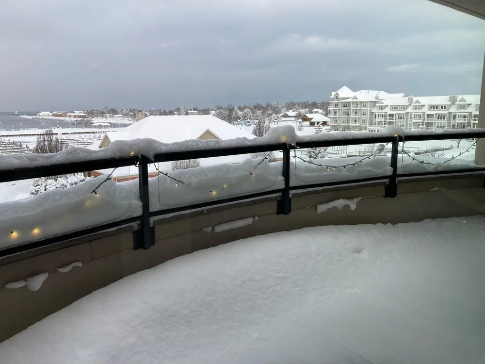 105 W Danaher Street #401 Ludington City, MI 49431