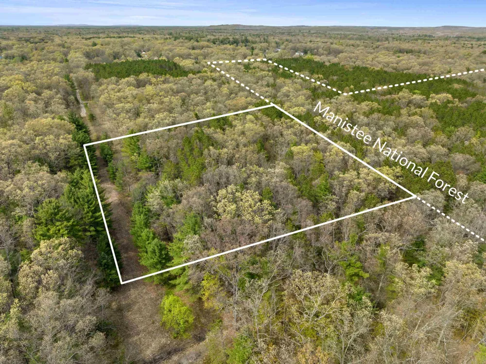 Maple Avenue Dickson Township, MI 49619