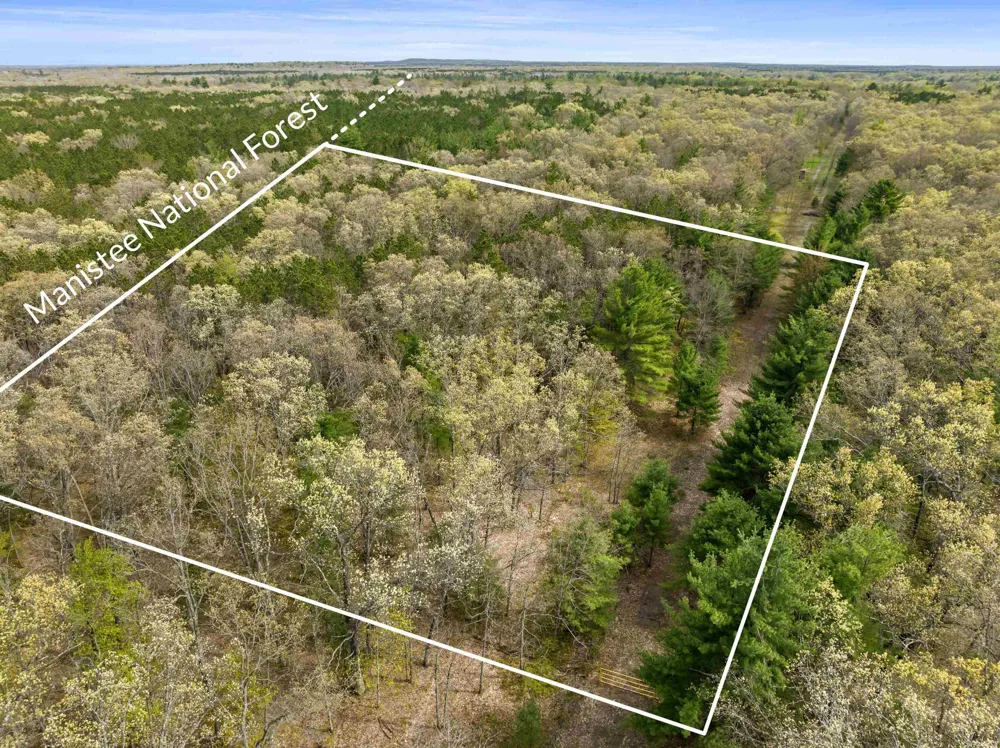 Maple Avenue Dickson Township, MI 49619