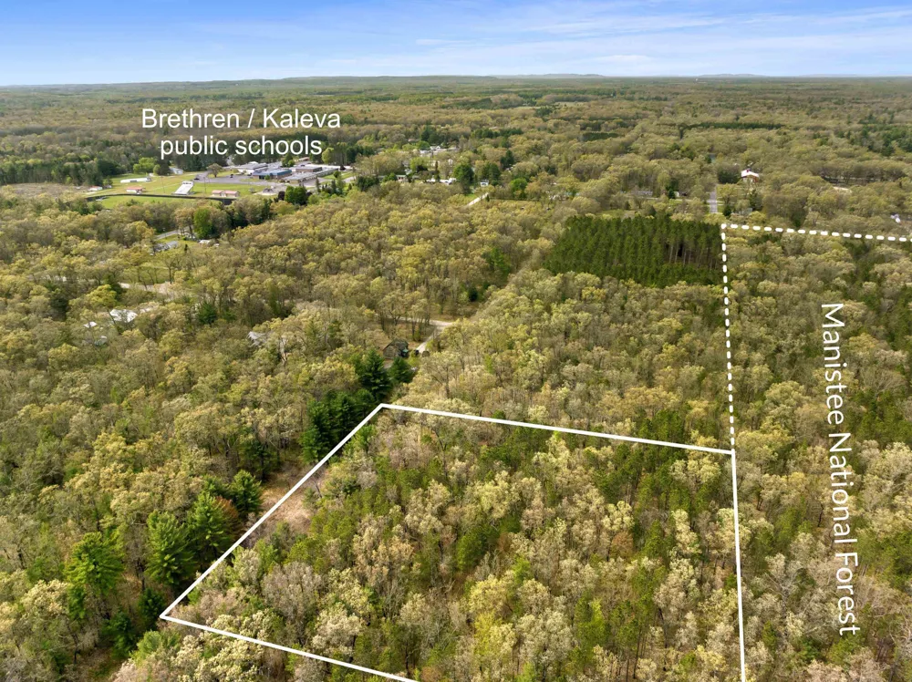 Maple Avenue Dickson Township, MI 49619