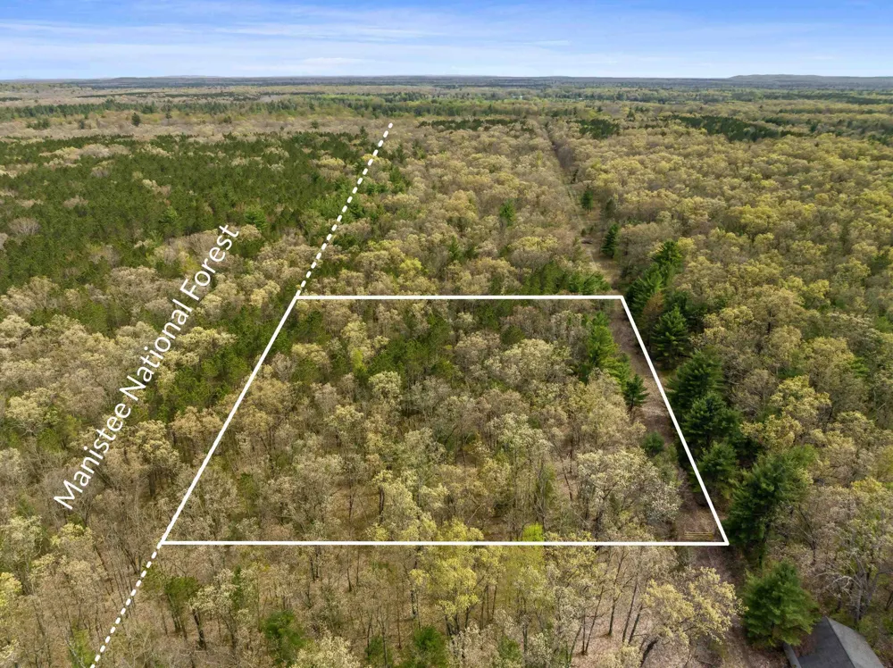 Maple Avenue Dickson Township, MI 49619